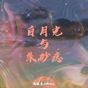 朱砂痣与白月光