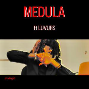 Medula (feat. Luvurs)