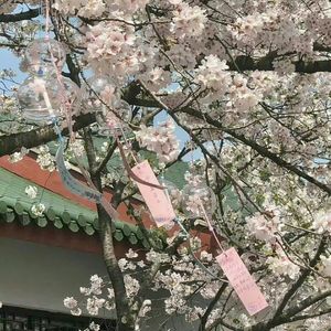 星空闪烁