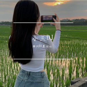 柳州DJ晨七七-小三DJ（热门旋律）