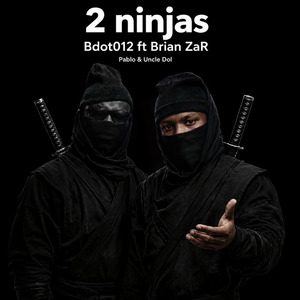 2 ninjas