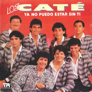 Pasaremos juntos la navidad