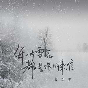 每一片雪花都是你的来信