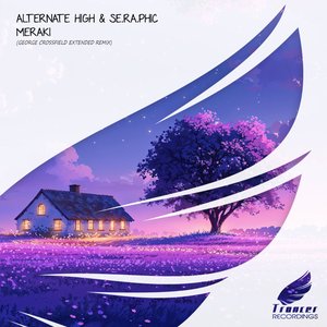 Meraki (George Crossfield Extended Remix)
