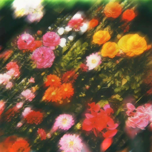 句号（prod.veery)