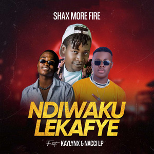 Ndiwakulekafye