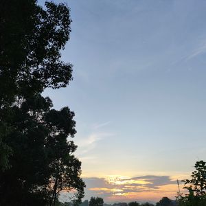 听晨听昏