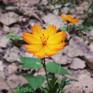 向北（Prod.DIVINE MUSIC）