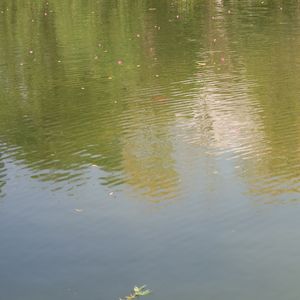 借过（cover：印子月）