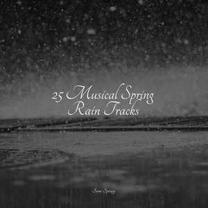 Late Night Rains