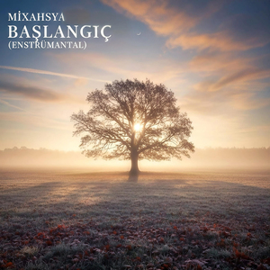 Başlangıç (EnstrÜmantal)