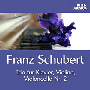 Trio No. 2 für Klavier, Violine u. Violoncello in E-Flat Major, D. 929: II. Andante con moto