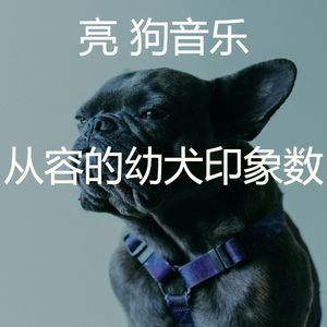抚慰的小狗回忆