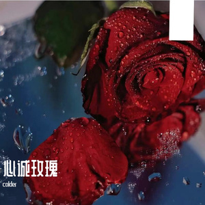 心诚玫瑰