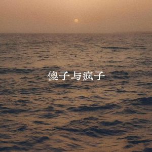 傻子与疯子