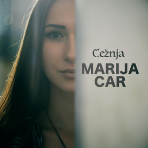 Celoga je dana sneg polako pado