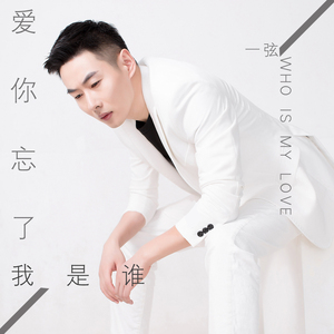 爱你忘了我是谁