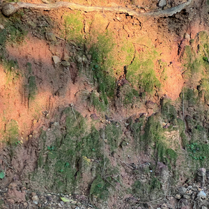 飞在天上的眼睛