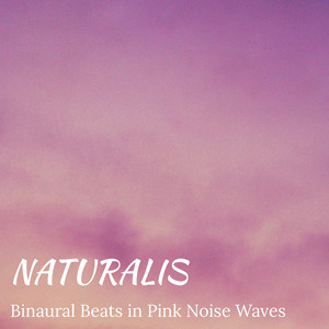 Magic Mind (Gamma 40 Hz - 355 Hz Carrier in Pink Noise Waves)