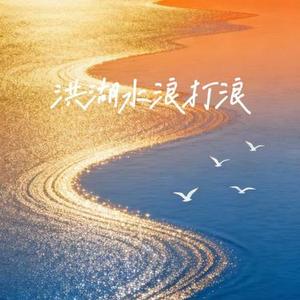 洪湖水浪打浪 (R&B版)