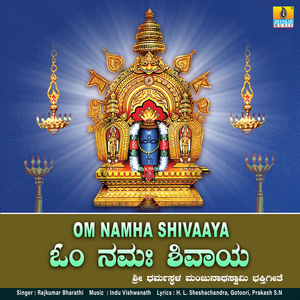 Om Namha Shivaaya