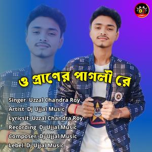 ও প্রাণের পাগলী রে