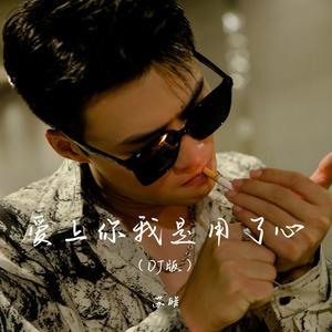 爱上你我是用了心 (DJ版)