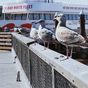 有点想谈恋爱但好像一个人也挺好