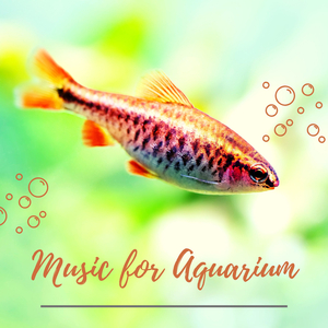 Music for Aquarium