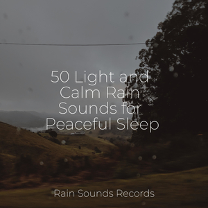 Fragile Lamentation Waltz