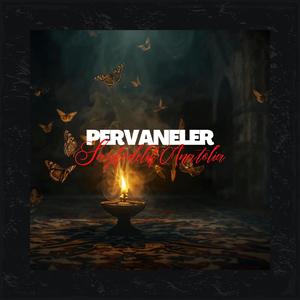 Pervaneler