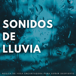 Lluvia Y Vegetación