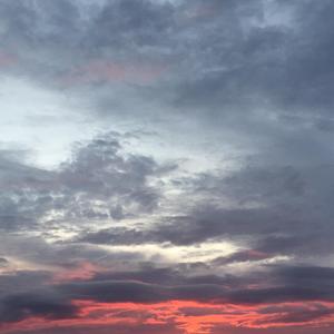 瓶与抛光者（cover 廖俊涛)