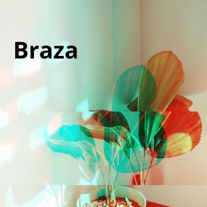 Fregona