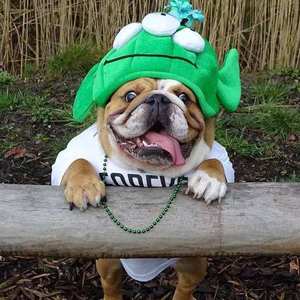 其实我想说的还有很多