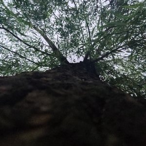 沭（prod by fabes vg）