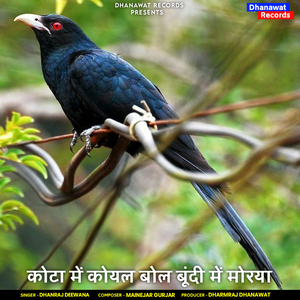 कोटा में कोयल बोल बूंदी में मोरया