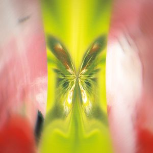 *butterfly*[蝴蝶＋yobiee]