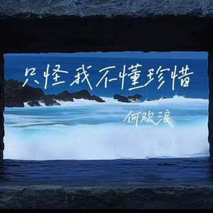 只怪我不懂珍惜