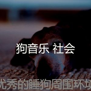 一尘不染小狗印象数