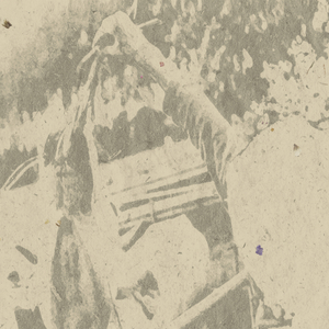 Le jardin (Wouter van Veldhoven version)