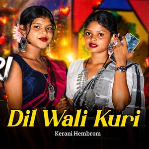 Dil Wali Kuri