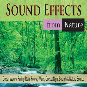 Distant Ocean Sounds