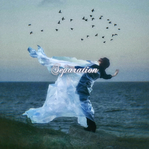 Separation The Soul
