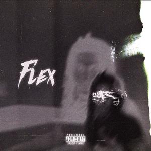 FLEX