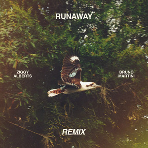 Runaway (Bruno Martini Remix)