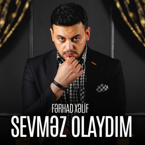 Sevmez Olaydım