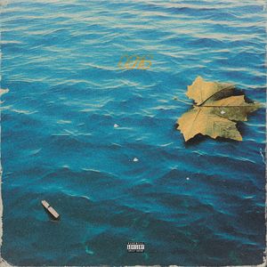 要怎么才能做到毫不在意