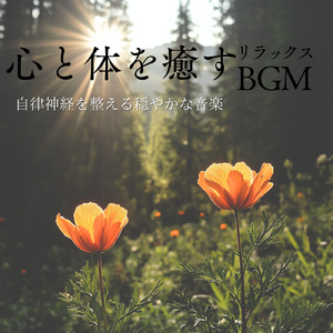 音楽療法のハーモニーで整う夜