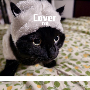 夜空（cover陈婧霏）